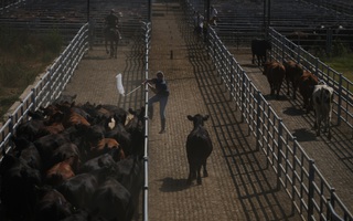 Khởi động thỏa thuận thương mại bước ngoặt