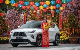 Đà Nẵng chỉ đạo khẩn trương xử lý nội dung Báo Người Lao Động phản ánh