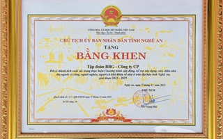 Tập đoàn BRG nhận Bằng khen của UBND tỉnh Nghệ An