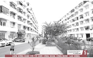 Báo in ngày 17-1: “Ma trận” pháo online: Coi chừng mua nhầm hàng cấm