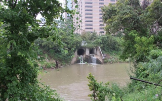 Hơn 30 thi thể vớt từ sông rạch Houston, gây lo ngại về kẻ giết người hàng loạt