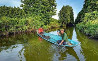 Cà Mau sẽ chi số tiền lớn lên đến gần chục tỉ đồng để tìm người bảo tồn gen cua biển