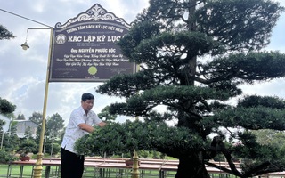 Tròn mắt trước một "bảo tàng bonsai" ở miền Tây