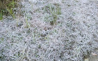 Miền Bắc có nơi rét đậm, rét hại dưới 10 độ C, đề phòng băng giá