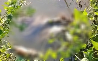 Phát hiện thi thể thiếu nữ với vết thương trên cổ