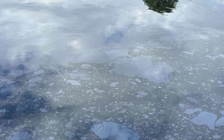 Xác minh vết dầu loang trên sông Cu Đê ở Đà Nẵng