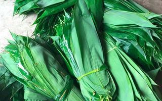 Những loại lá "độc lạ" ở Việt Nam xuất khẩu thu về triệu USD