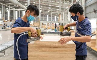 Mỹ bất ngờ hoãn tăng thuế với gỗ nhập khẩu theo Mục 232