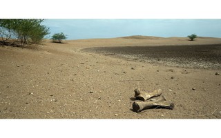 Cảnh báo mới về khủng hoảng nước