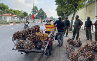 Nền tảng của văn hóa và văn minh