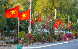 Du khách, người dân xúc động trước "Đường cờ Tổ quốc - Đường hoa Côn Đảo"