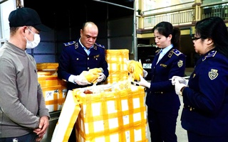 Kiểm tra một xe ô tô tải, phát hiện điều bất thường