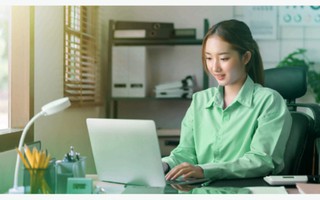 Khu vực công nổi lên như “lực hút” mới trên thị trường lao động