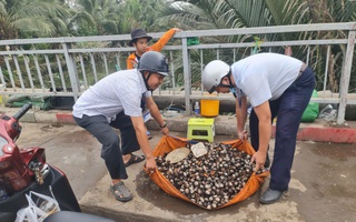 Xử lý liên tục để tránh tình trạng lực lượng chức năng rời đi rồi tái lấn chiếm