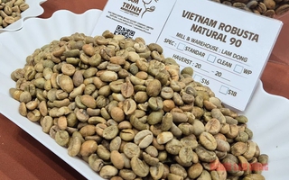 Giá cà phê hôm nay 24-1: Quay lại đà tăng 3 con số với Robusta