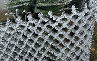 Nền nhiệt thấp nhất 1 độ C, đề phòng băng giá và mưa tuyết