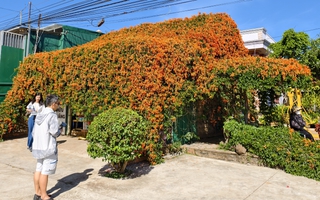 Căn nhà đang "nổi như cồn" ở Lâm Đồng