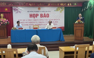 Nhiều nước muốn mua gạo thơm Việt Nam nhưng doanh nghiệp chưa xuất được