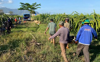 Người đàn ông tử vong trong vườn thanh long ở Lâm Đồng