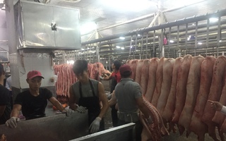 Giá heo hơi hôm nay, 24-1: Giá heo mảnh tại chợ đầu mối tăng mạnh