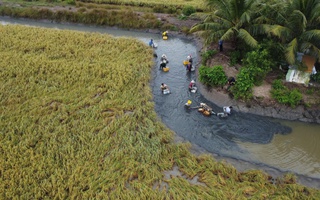 ĐẤT ĐÃ ẤM LÊN