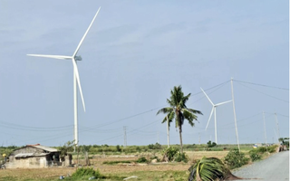 Nhiều doanh nghiệp muốn đầu tư hàng loạt dự án điện gió ở Cần Thơ