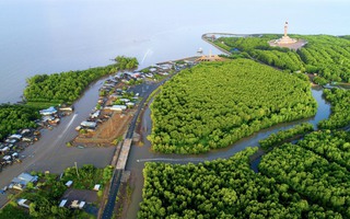 Hơn 216 tỉ đồng nâng cấp hạ tầng số cho cơ quan ở Cà Mau