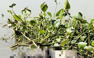 Liên tục phát hiện thi thể trôi sông ở TPHCM