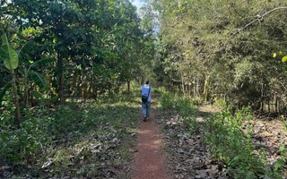 Chấp thuận nhà đầu tư đề xuất dự án đường kết nối từ cầu Mã Đà với Vành đai 4 TPHCM