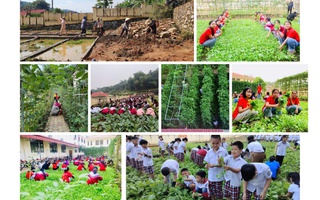 Sắp trao Giải thưởng Trường học sinh thái ASEAN 2025: Không rác thải nhựa