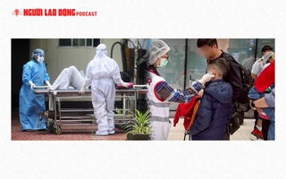 Cảnh báo virus Nipah có tỉ lệ tử vong cao, Bộ Y tế khẩn trương phòng chống