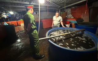 Bất an với thực phẩm bẩn