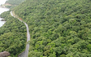 Thanh tra việc chuyển mục đích sử dụng đất rừng làm nhà máy xử lý rác Côn Đảo