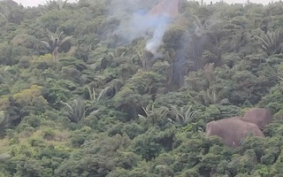 Rơi máy bay quân sự ở Đắk Lắk, phi công kịp thời nhảy dù thoát nạn