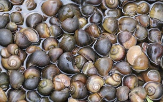 Rõ ràng trách nhiệm