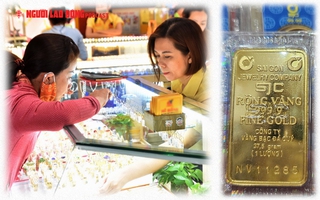 Giá vàng hôm nay gây sốc!