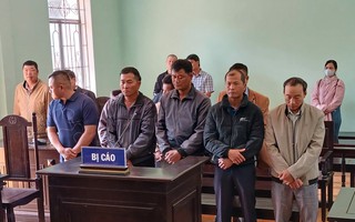 Ba nhân viên bảo vệ rừng lĩnh án tù vì nhận hối lộ của lâm tặc