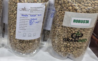 Giá cà phê hôm nay 3-1: Tiếp tục tăng