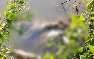 Thiếu nữ tử vong với vết thương trên cổ: Nạn nhân là học sinh cấp II