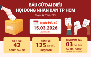 Infographic bầu cử đại biểu Hội đồng Nhân dân TP HCM