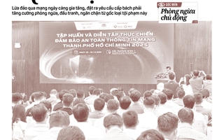 Báo in ngày 4-1: Ngăn chặn lừa đảo qua mạng từ gốc