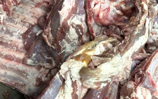 Vụ sườn heo đông lạnh "có màu lạ" đưa vào trường học: Chấm dứt hợp tác với đơn vị cung cấp thực phẩm