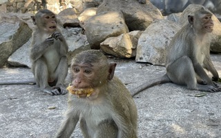 Thông tin nổi bật tại TPHCM ngày 30-1