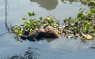 Thi thể cao 1,69 m, túi quần có số 233 trôi trên sông Sài Gòn