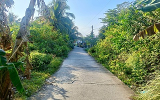 Vụ án gây chấn động ở Cà Mau: Nghi phạm và nạn nhân sống chung như vợ chồng 