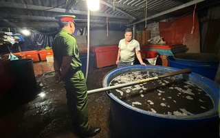 Thực phẩm bẩn và nỗi lo "vị đắng" trên mâm cỗ Tết