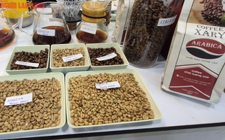 Giá cà phê hôm nay 5-1: Bất ngờ về Arabica Việt
