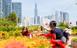 VIDEO: Người dân nôn nao chụp ảnh tại một trong những vườn hoa Tết 2026 đầu tiên của TPHCM