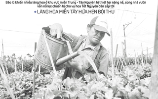 Báo in Người Lao Động 5-1: Venezuela yêu cầu Mỹ thả Tổng thống Maduro