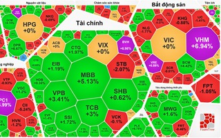VN-Index "phá đảo" mốc 1.800 điểm, sao nhà đầu tư vẫn "chạnh lòng"?